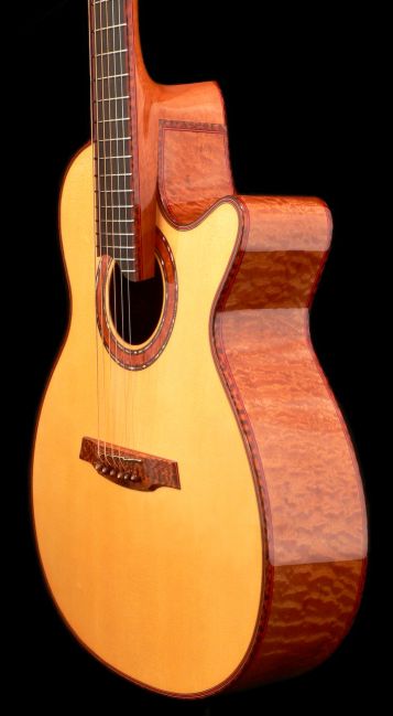 ergo noir acoustic guitar by Charles Fox